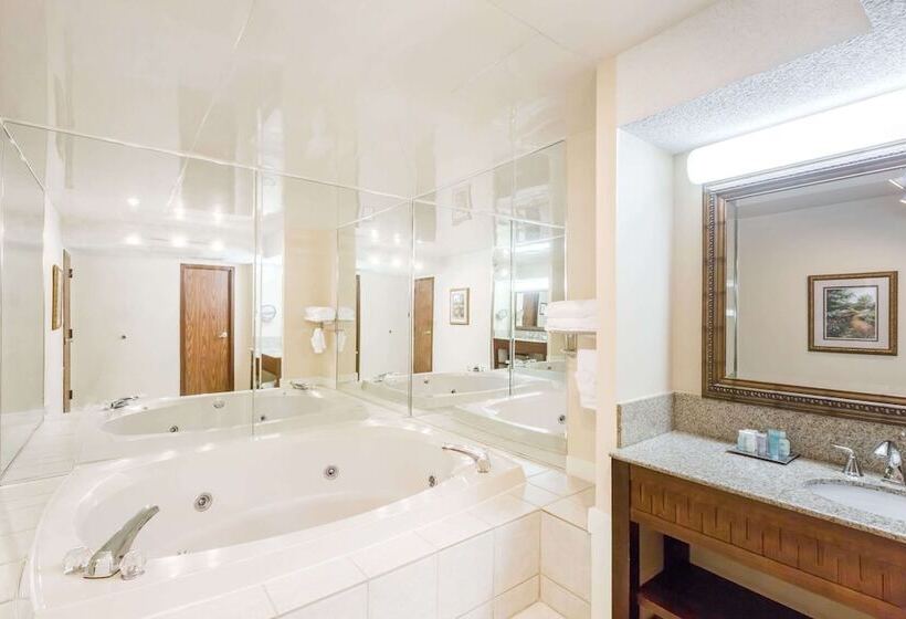 Президентский Люкс, Wyndham Riverfront