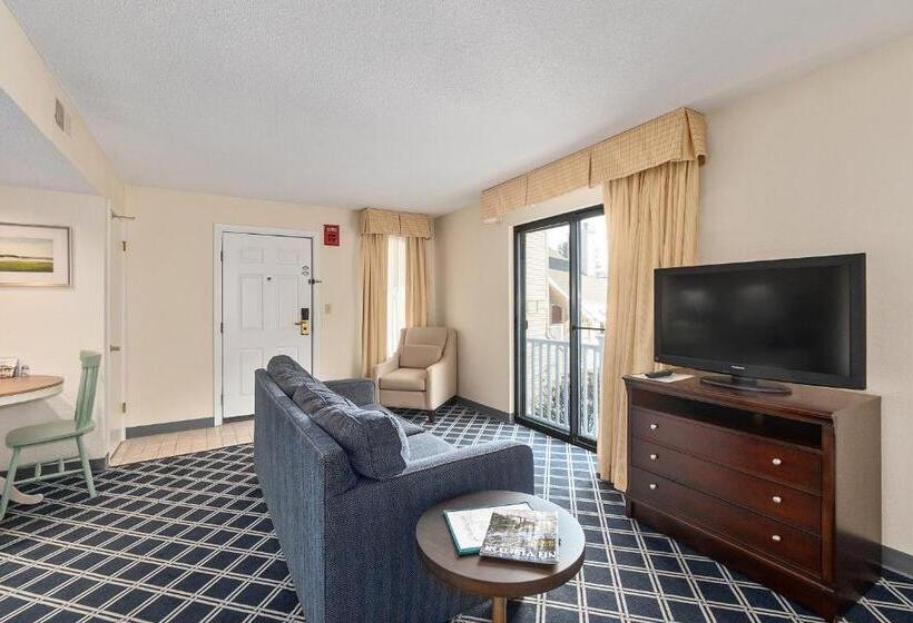 Студия Deluxe, Residences At Daniel Webster