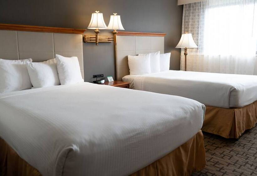 带2个双人床的标准工作室, Comfort Inn & Suites Downtown Tacoma