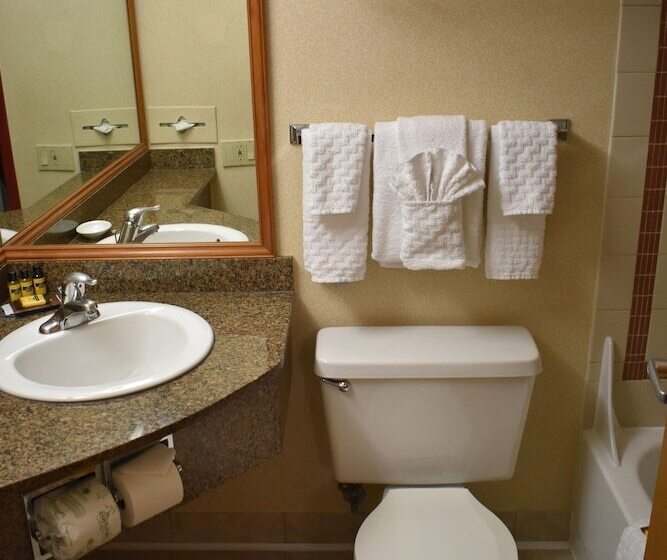 带2个双人床的标准工作室, Comfort Inn & Suites Downtown Tacoma