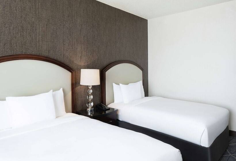 带2个双人床的标准工作室, Hilton Atlanta