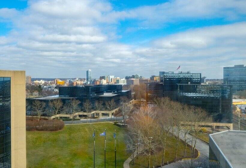 Номер Премиум, Hilton Stamford Hotel & Executive Meeting Center