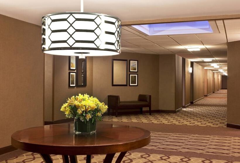 수피리어 룸, Sheraton Parsippany