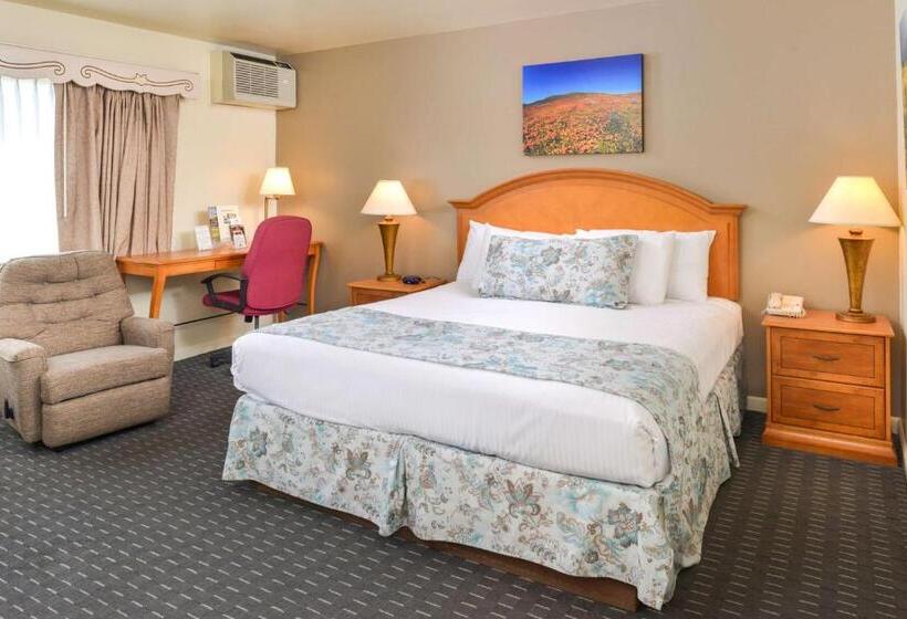 Стандартный Номер Кровать Кинг, Svendsgaard S Lodge  Americas Best Value Inn & Suites