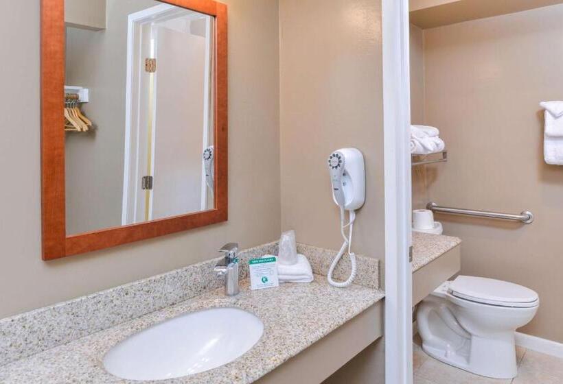 Номер Deluxe Кровать Кинг, Svendsgaard S Lodge  Americas Best Value Inn & Suites