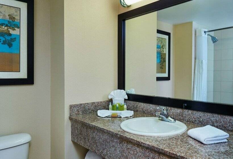 اتاق لوکس, Doubletree By Hilton Hotel Orlando At Seaworld