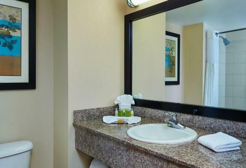 اتاق استاندارد, Doubletree By Hilton Hotel Orlando At Seaworld