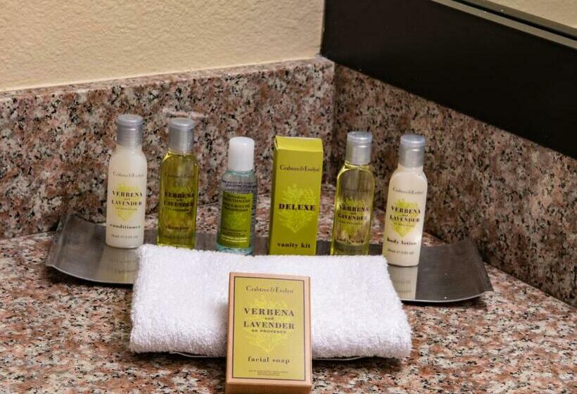 اتاق استاندارد با تخت بزرگ, Doubletree By Hilton Hotel Orlando At Seaworld
