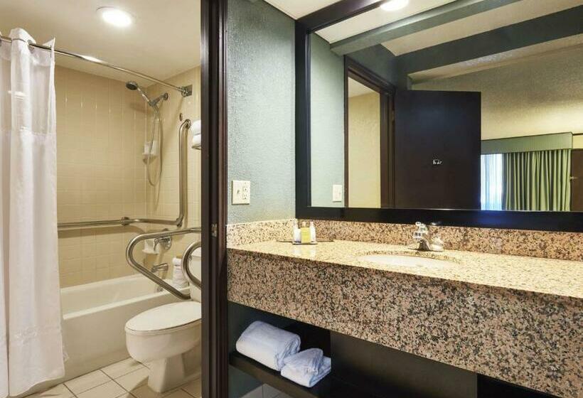 اتاق استاندارد برای معلولان, Doubletree By Hilton Hotel Orlando At Seaworld