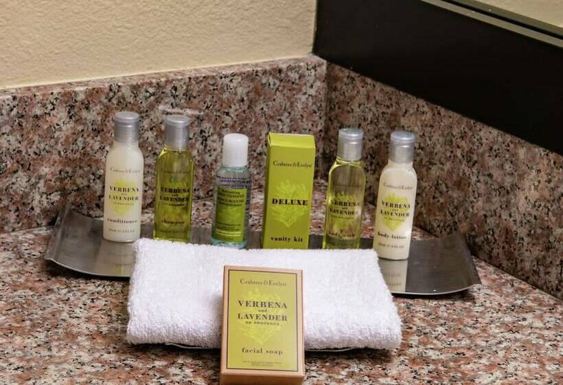 اتاق استاندارد با 2 تخت دوبل, Doubletree By Hilton Hotel Orlando At Seaworld
