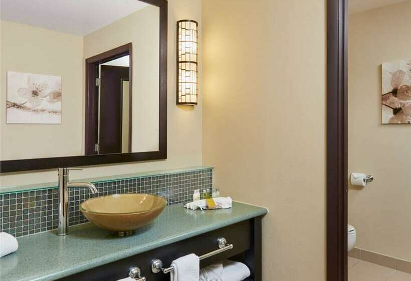 اتاق استاندارد با 2 تخت دوبل, Doubletree By Hilton Hotel Orlando At Seaworld