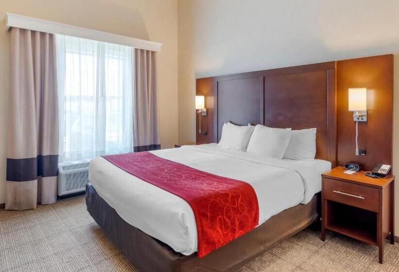 身障者適用スイートルーム, Comfort Suites St George  University Area