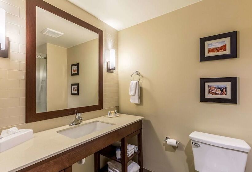 スイート, Comfort Suites St George  University Area