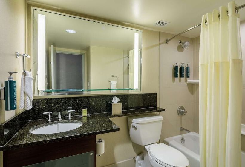 ２ダブルベッドのスタンダードルーム, Doubletree By Hilton Hotel Denver