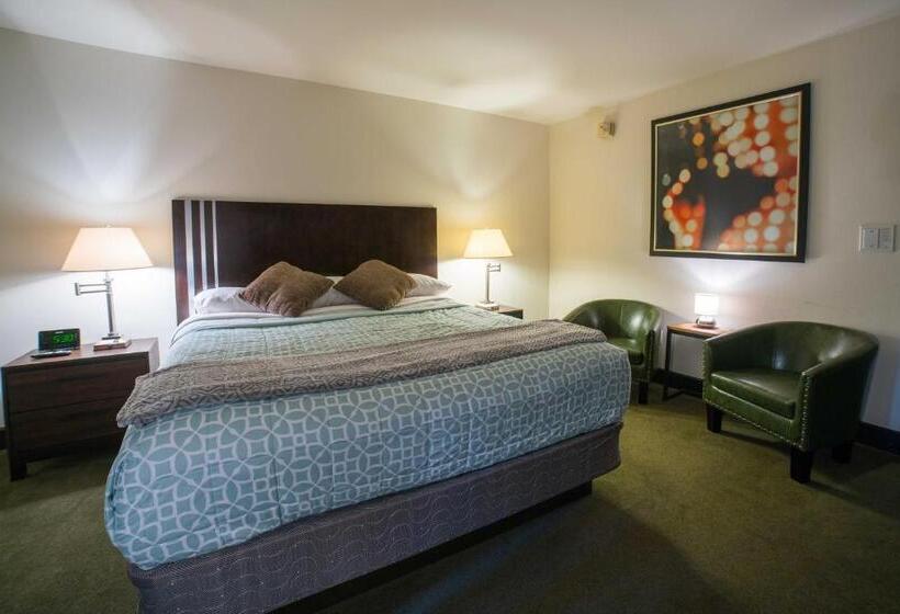 إستوديو قياسى, Lemon Tree Inn