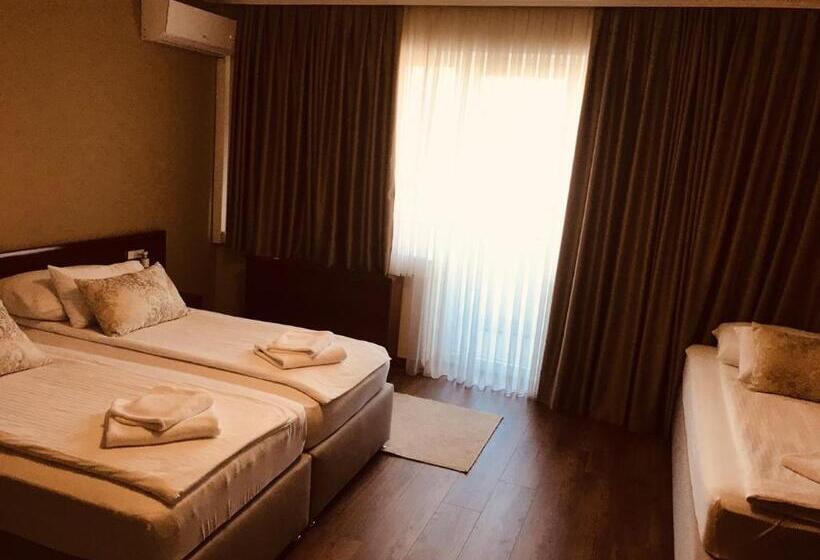 اتاق استاندارد سه نفره, Bristol