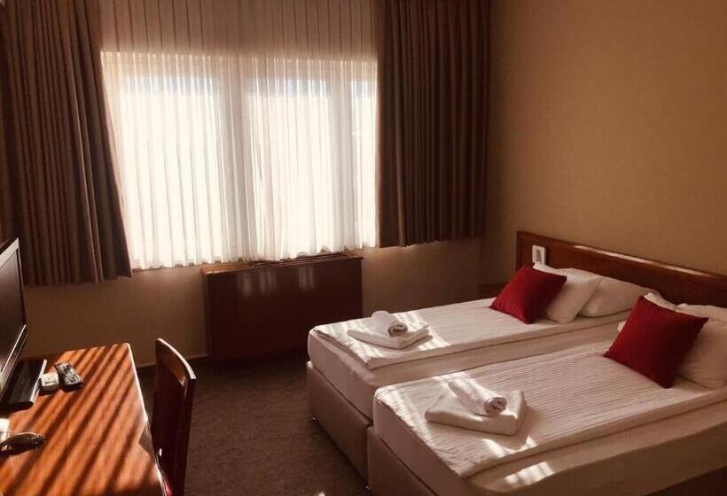 اتاق اکونومی, Bristol
