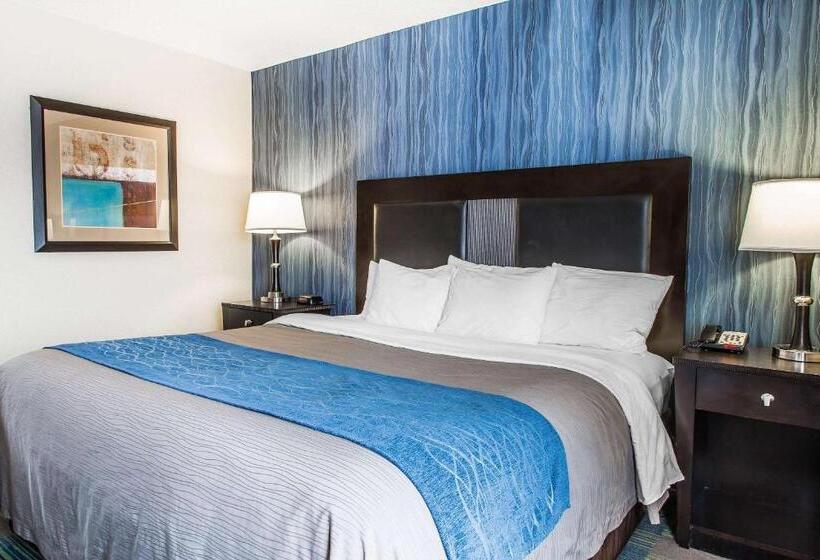 스탠다드 룸 킹사이즈 침대, Comfort Inn & Suites
