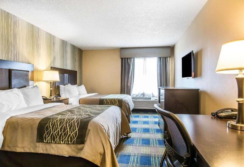 스탠다드 룸, Comfort Inn & Suites