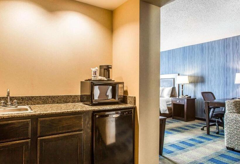 비즈니스룸, Comfort Inn & Suites
