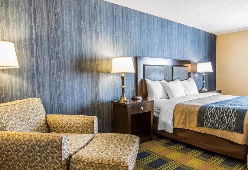 장애인을 위한 킹사이즈 침대 스탠다드 룸, Comfort Inn & Suites