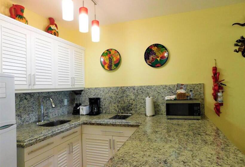 דירת 2 חדרים נוף לים, Nautibeach Beach Front Condos In North Beach