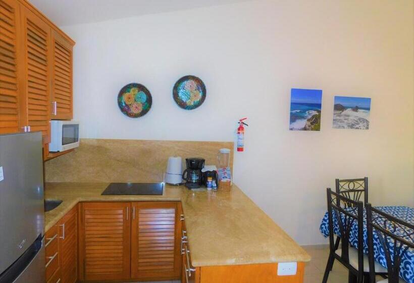 דירת חדר נוף לגינה, Nautibeach Beach Front Condos In North Beach
