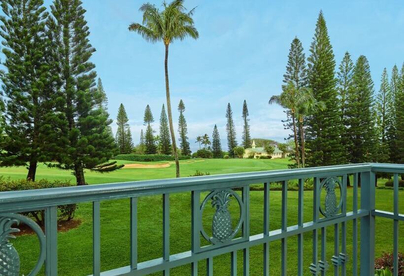 Люкс Вид на Море, The Ritz Carlton Maui, Kapalua