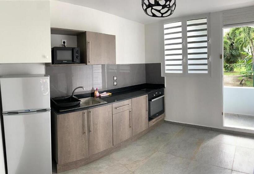 استودیو استاندارد با تراس, Karaibes Residence