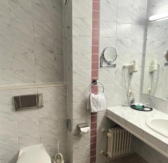 Номер Стандарт Индивидуальный, Best Western Parkhotel Brehna-Halle