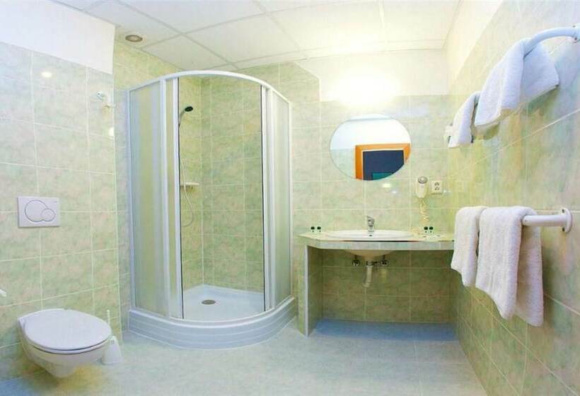 Quarto Estandar Individual, Merkur   Czech Leading Hotels