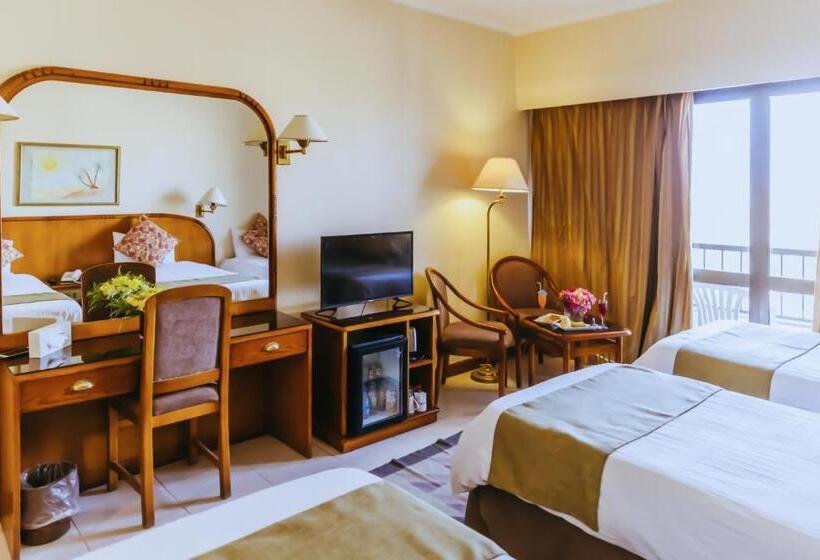 اتاق استاندارد با تراس, Basma Hotel Aswan