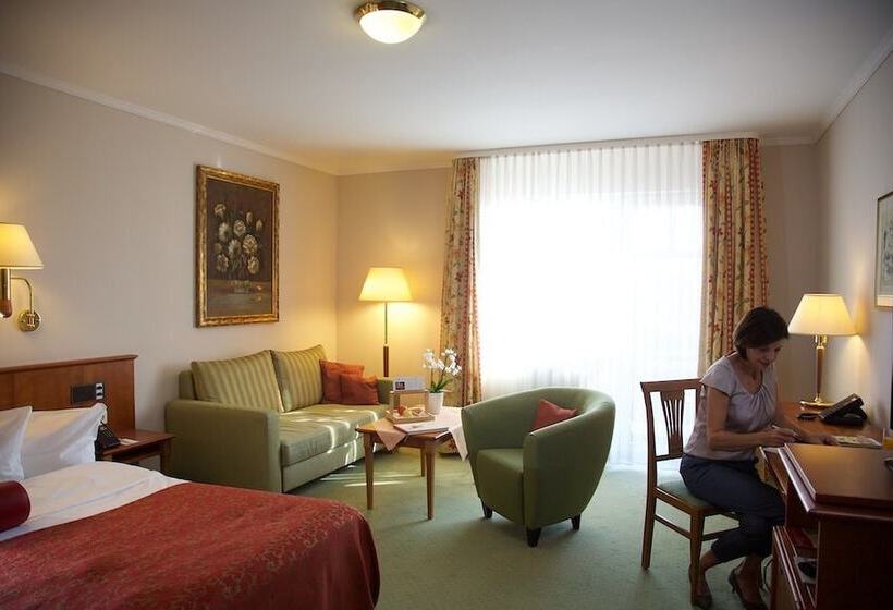 스탠다드 싱글 룸, Ringhotel Hotel Zum Stein