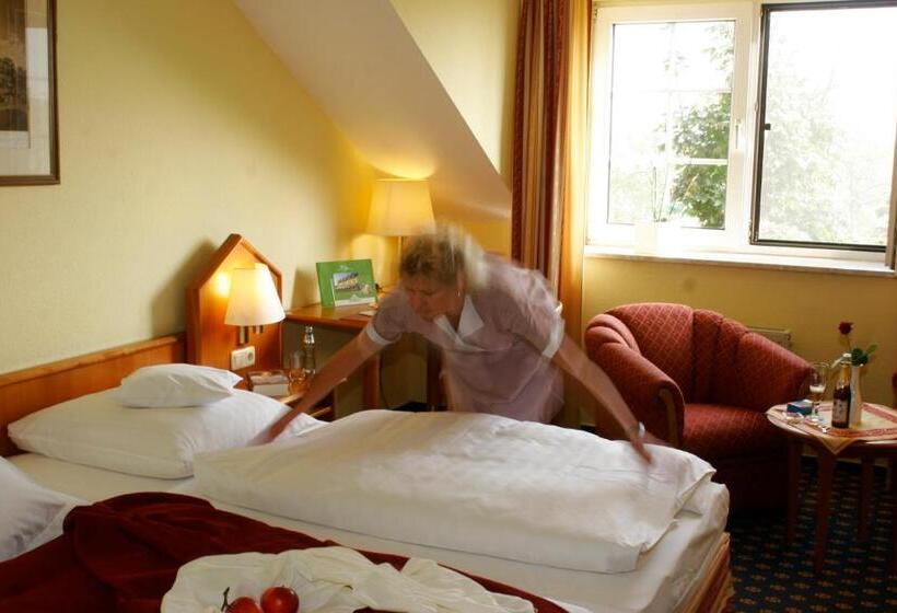 스탠다드 싱글 룸, Ringhotel Hotel Zum Stein