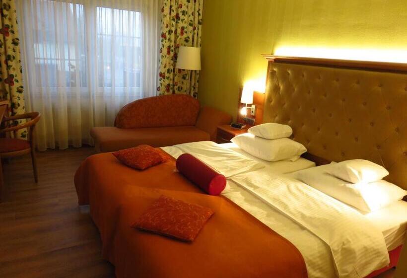 스탠다드 룸, Ringhotel Hotel Zum Stein