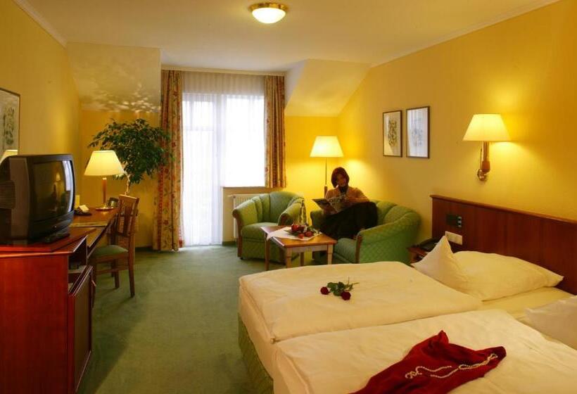 컴포트 룸, Ringhotel Hotel Zum Stein