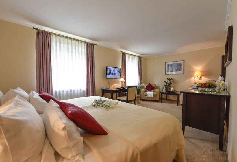수피리어 룸, Atrium Hotel Amadeus