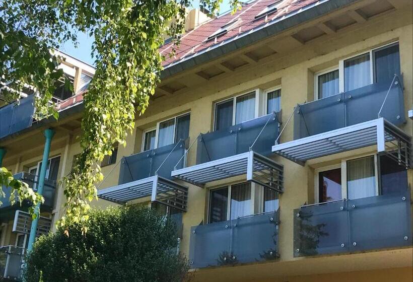 اتاق استاندارد با بالکن, Panoráma