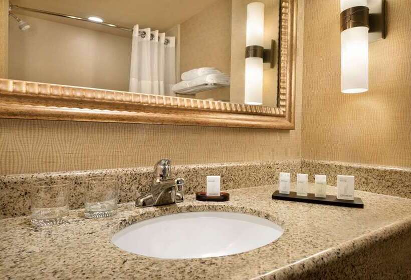 سوییت, Embassy Suites Hotel Des Moines Downtown