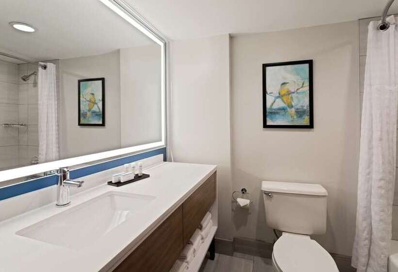 سوییت, Embassy Suites Hotel Des Moines Downtown