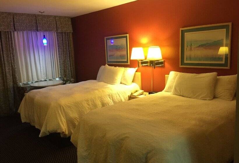 Номер Стандарт 2 Двуспальные Кровати, Americas Best Value Inn Garden City