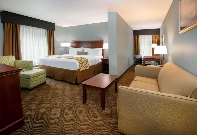 Люкс Кровать Кинг, Baymont Inn & Suites Braselton
