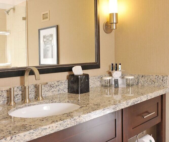 سوئیت پریمیوم, Embassy Suites Hotel Des Moines Downtown