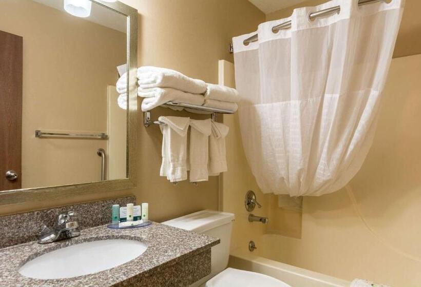 Cameră Standard 2 Paturi Duble, Quality Inn I 74 Batesville