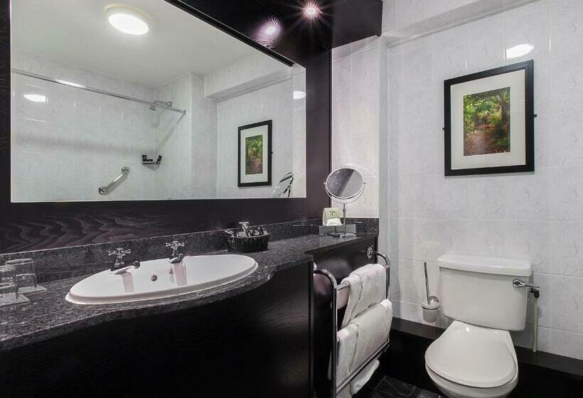 اتاق سوپریور با تخت بزرگ, Ashling Hotel Dublin