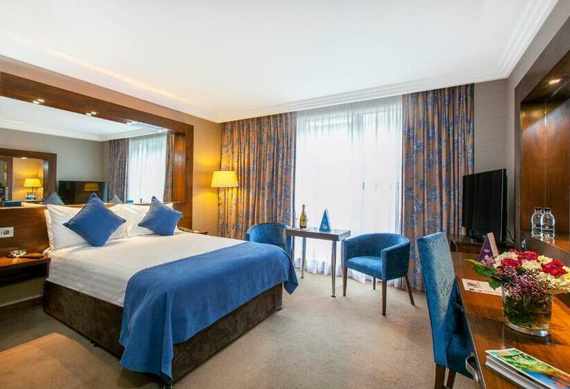 اتاق سوپریور, Ashling Hotel Dublin