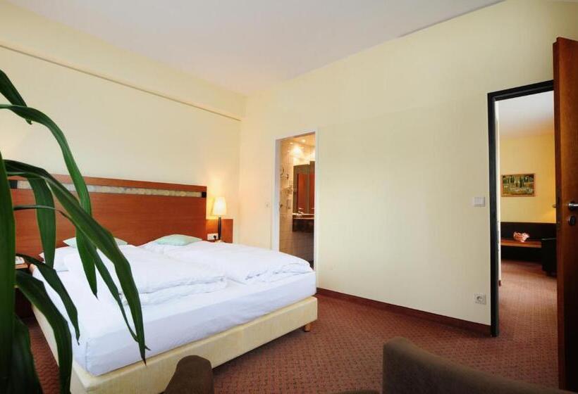 اتاق پرمیوم, Hansa Apart Hotel Regensburg