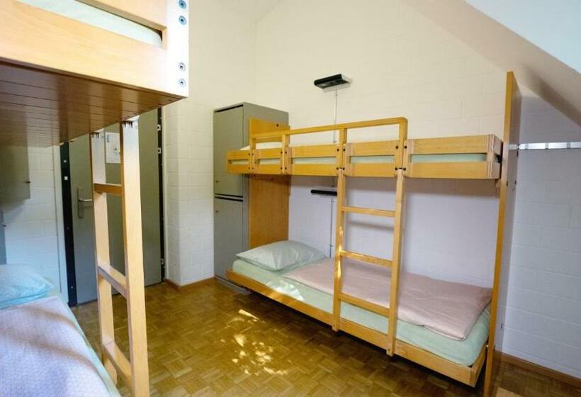 اتاق استاندارد چهارنفره با سرویس بهداشتی مشترک, Luzern Youth Hostel