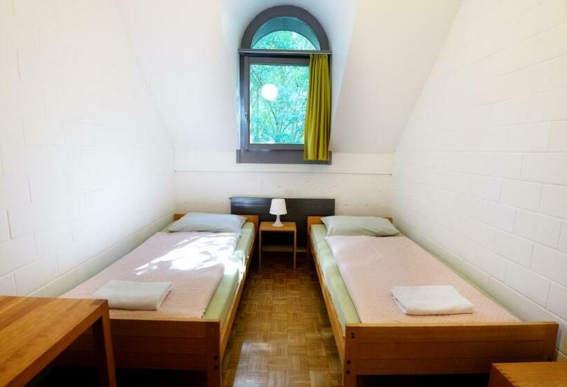 اتاق استاندارد با سرویس بهداشتی مشترک, Luzern Youth Hostel