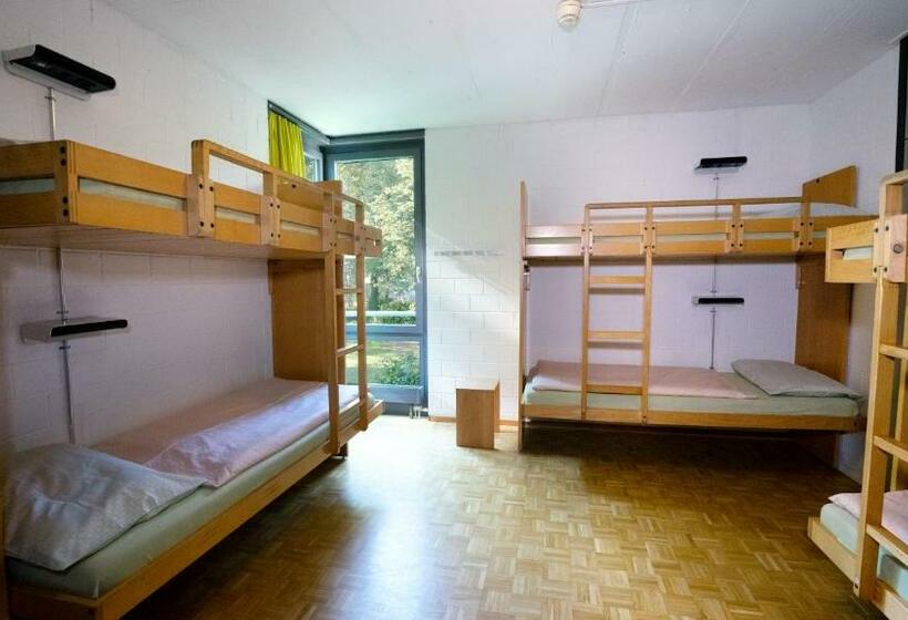 تختخواب در اتاق مشترک, Luzern Youth Hostel